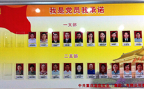 云顶集团3118集团党委开展党员承诺活动