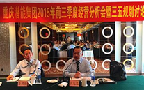 紧盯目标，全力冲刺；凝神聚力，再策再谋——云顶集团3118集团2015年1—9月经济运营分析暨“三五”规划讨论会