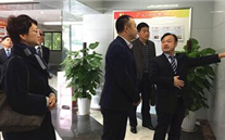 大渡口区统战部部长王涛来云顶集团3118集团调研